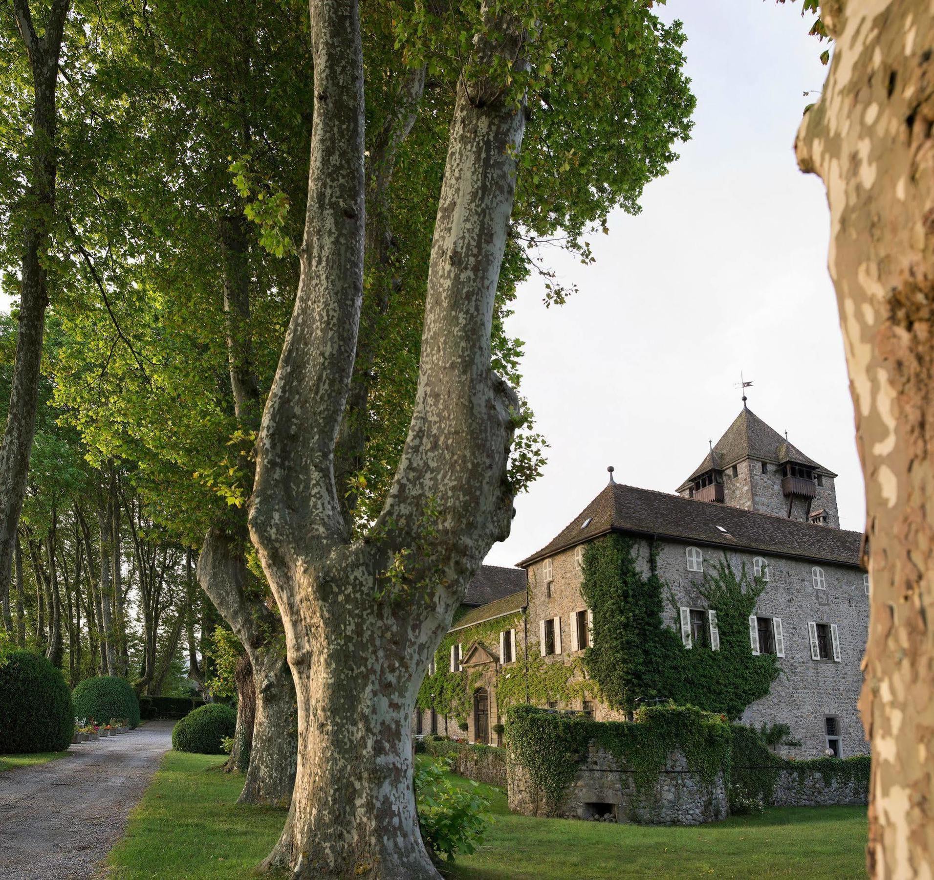 Chateau De Coudree - Les Collectionneurs Sciez Ngoại thất bức ảnh